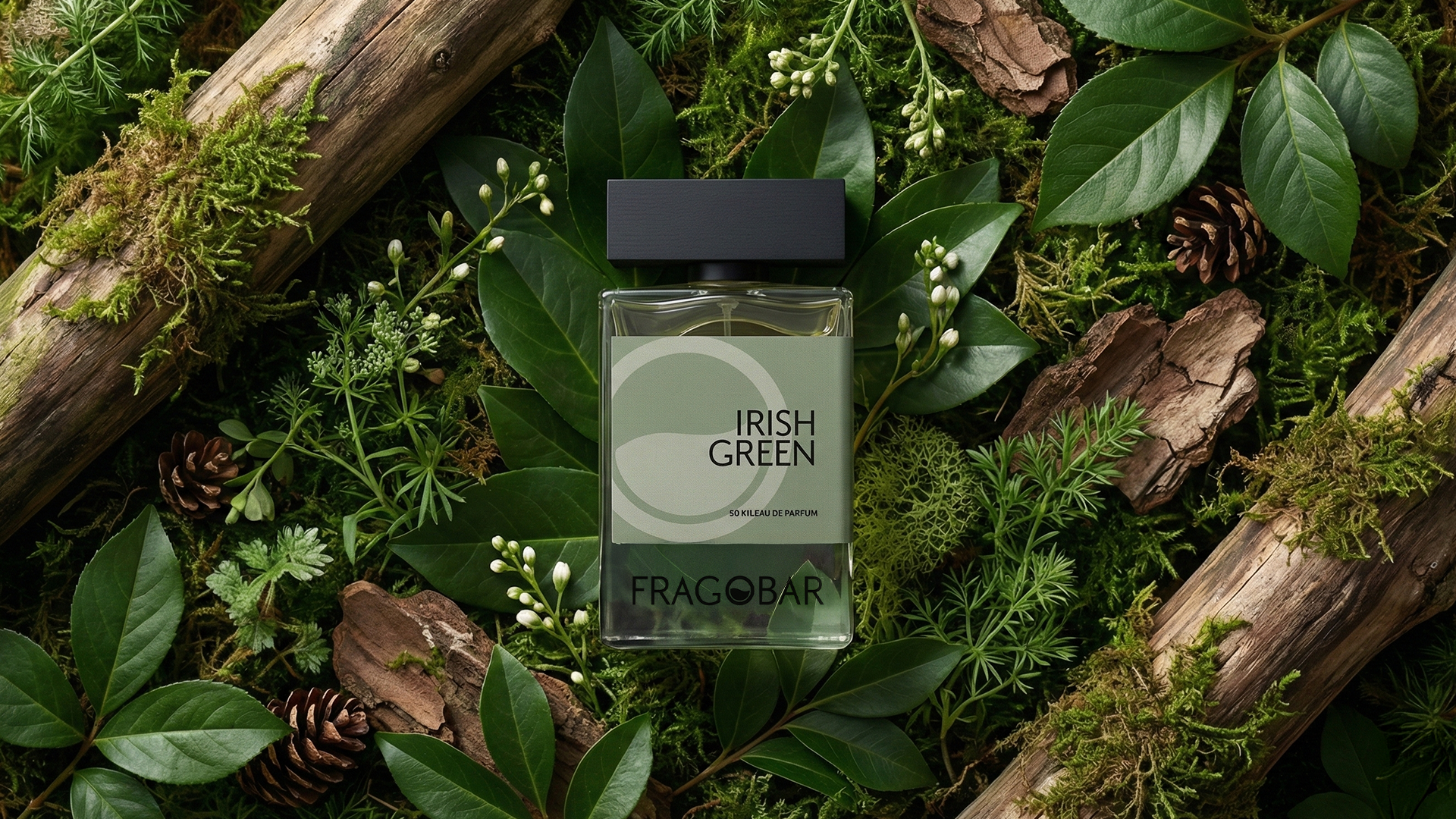 FRAGRANCE CONCEPT