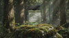 desktop
